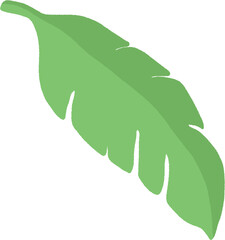 leaf isolated on white