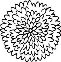 top view of tree hand drawing.