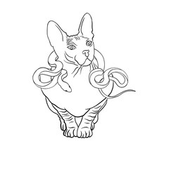 graphic Egyptian cats