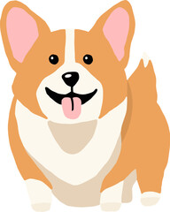 Welsh corgi
