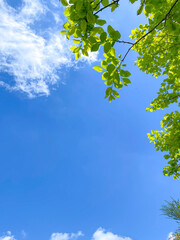 look up at the blue sky