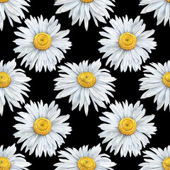 Seamless pattern of Hand Drawn watercolor floral plants camomile flowers. Herb flowers daisy. Botanical greenery chamomile flower illustration on black background. For fabric, wallpaper, wrapping