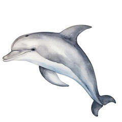 Obraz premium AI-Generated Watercolor Cute Dolphin jumping Clip Art Illustration. Isolated elements on a white background.