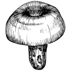 Mushrooms outline