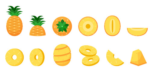 Tropical pineapple exotic slice fruit summer pineapple icon collection flat illustration 