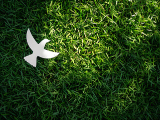Cut paper with bird logo (pigeon) on green grass background. Peace sign and symbol background banner template of peace concept