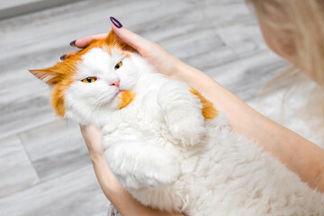 Obraz premium woman holding a fluffy cat in her arms