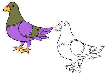 Pigeon illustration. Perfect for artwork, t-shirts, cards, prints, picture books, coloring books, wallpaper, prints, etc.