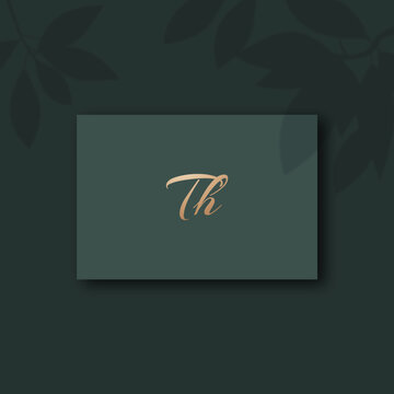 Th logo design vector image