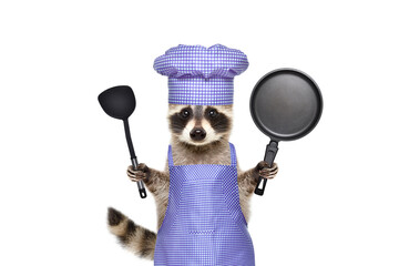 Raccoon with a chef's suit standing with frying pan and a kitchen spatula isolated on a white background