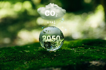 Carbon neutral and net zero or co2 emission for target in 2050 for a sustainable environment, climate change concept