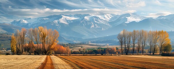 Captivating autumnal agricultural vista in Cerdanya, Girona, Spain, with the snow-capped Pyrenees mountains forming a stunning backdrop