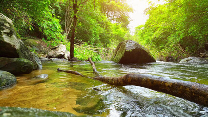 A picturesque tropical stream, glistening in dappled sunlight, meanders through a lush, emerald...