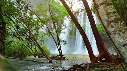 A majestic waterfall cascades from a towering cliff amidst a vibrant, tropical paradise. Nature's...