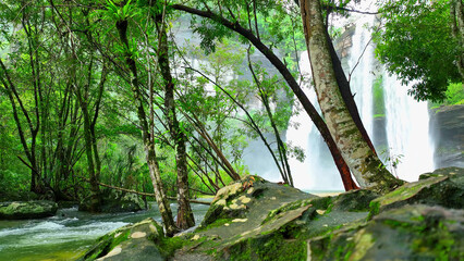 A majestic waterfall cascades from a towering cliff amidst vibrant tropical foliage, a natural...