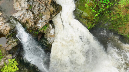 Enchanted cascade: A breathtaking waterfall enveloped by a lush, emerald embrace. This hidden gem...