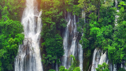 Within the depths of a verdant rainforest, a majestic waterfall reveals itself, hidden amidst a sea...