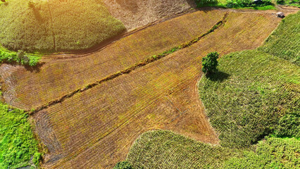 The drone's lens unveils a tapestry of colors and patterns on hills and plateaus. Fields and farms...