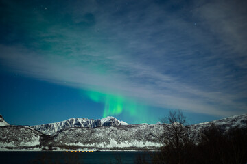 Green northern lights dancing above snowcapped mountains