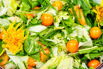 Raw salad from wild plants and physalis.