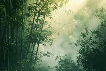Serene bamboo grove with light filtering through morning mist