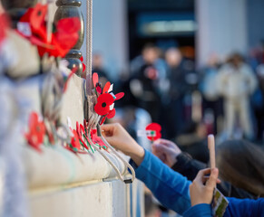 Hands put red poppies on the wall and take photos using a smartphone. Anzac Day commemoration. Auckland. New Zealand.
