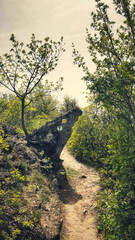 Forests and hiking trails of Tihany, Balaton, Hungary