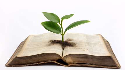 Plant Coming Out From Book