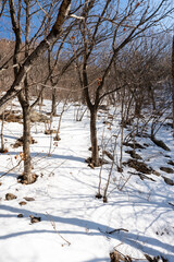 Snow Scenery of Taishi Mountain, Songshan Mountain, Dengfeng Zhongyue, Zhengzhou, Henan during the Spring Festival in the the Year of the Loong，China