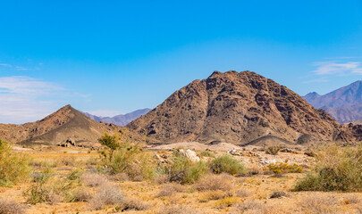 Arid landscape in the Richtersveld National Park
