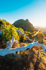 Hiking on the highest peak of Madeira Pico Ruivo next to the cottage Abrigo do Pico Ruivo. Views of...