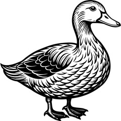  Stunning Duck Vector Illustrations for Every Project