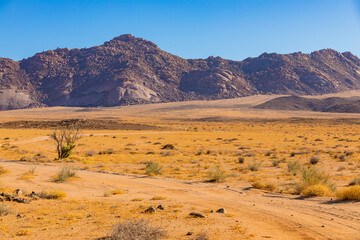 Arid landscape in the Richtersveld National Park