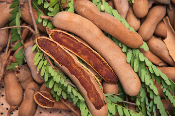 Closeup Focus Some Ripe Tamarind Fruits with Green Leaves
