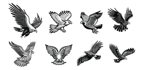 Set of eagle with wings
