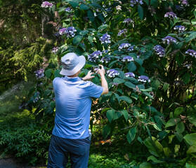 Man taking photos of purple flowers using a smartphone.