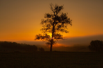 Very beautiful landscape with fog and green nature in the Republic of Moldova. Rural nature in Eastern Europe