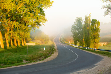 Fototapeta premium Very beautiful landscape with fog and green nature in the Republic of Moldova. Rural nature in Eastern Europe