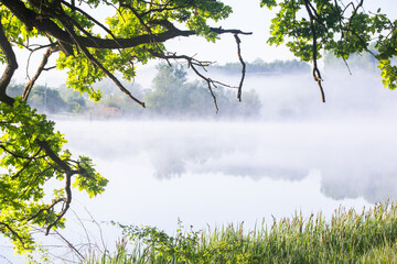Very beautiful landscape with fog and green nature in the Republic of Moldova. Rural nature in Eastern Europe