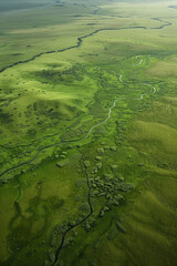 Aerial view of an endless grassland with a distant river