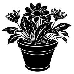 flower in a pot