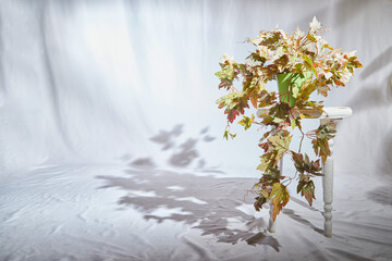 autumn leaves in the snow