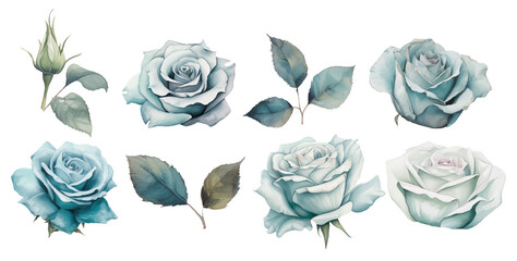Set watercolor blue roses floral roses branches. Wedding concept isolated on white background