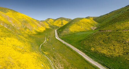 Country road on a ranch and hills during the superbloom in Carrizo National Monument, Santa...