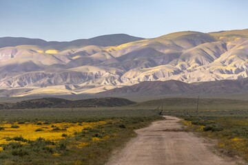 Winding Dirt road in the countryside in Carrizo National Monument, Santa Margarita, California,...