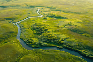 Aerial view of an endless grassland with a distant river