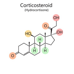 Chemical organic formula of molecular structure of Hydrocortisone diagram hand drawn schematic vector illustration. Medical science educational illustration