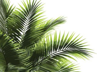 Realistic Palm Leaves Shrubs - Corner Elements with Transparent Backgrounds