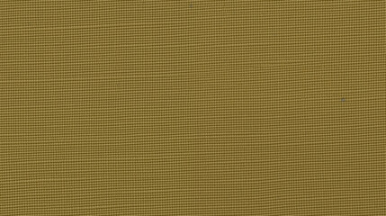 Golden Olive Green Canvas Texture