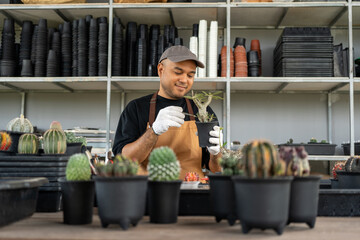 Cactus care harvesting. Farmer Cactus man working in the greenhouse backyard. Happy gardener man in gloves and apron in greenhouse checking of defect. Planting in pot with dirt or soil.